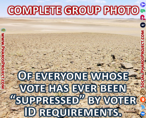 Group Photo - Voter ID suppresssion - Web-Social