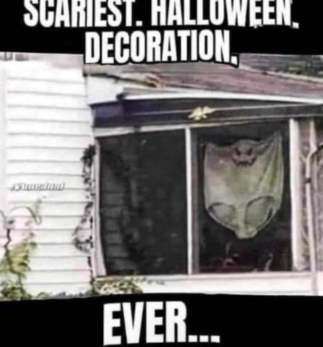 FB_IMG_1666294118986