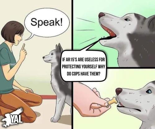 FB_IMG_1666287043022