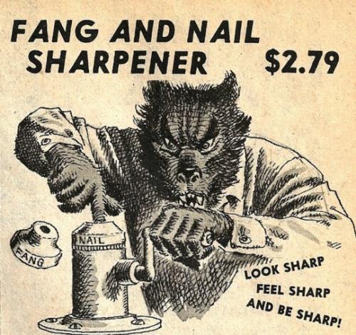 tumblr_68cecbf24378924e165e61e04ae4081e_00c906f7_540