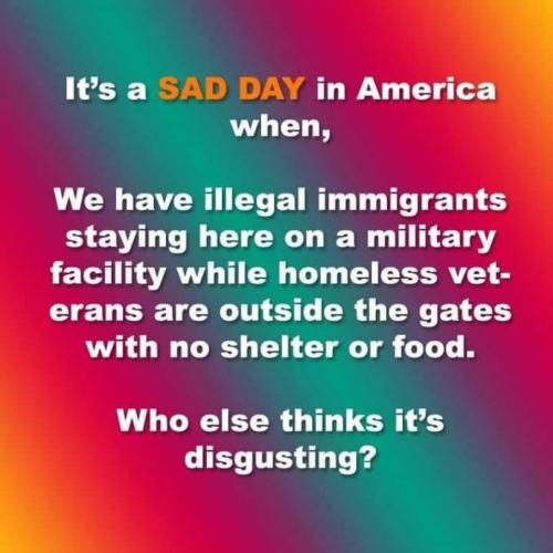 Illegals 1