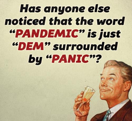 01GFVA3AQPRSH4GMY6P5KX58KZ