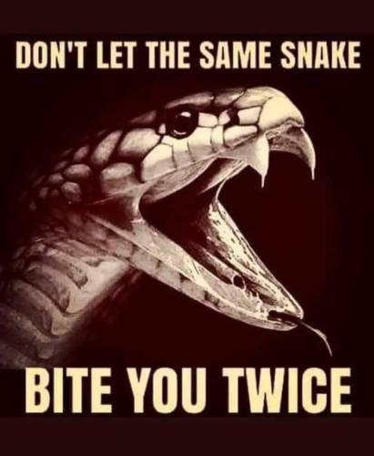 FB_IMG_1665857856856