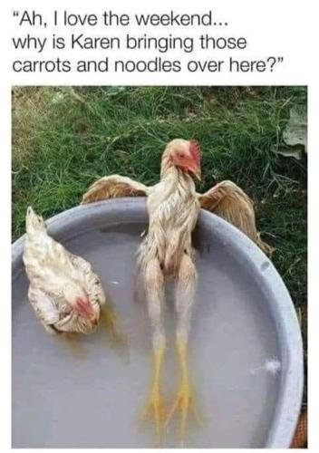 FB_IMG_1664981651186