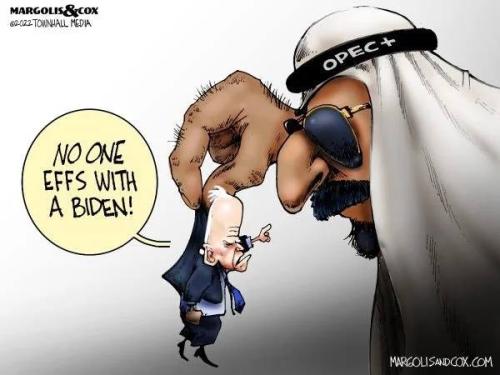 xephula_ed3df9e4eb2a831887426be03bb64d47