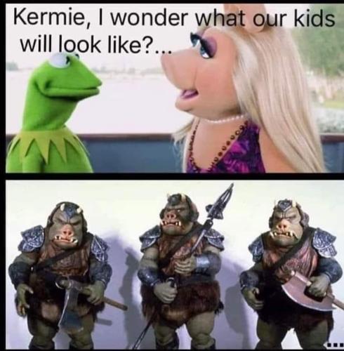 FB_IMG_1666198624819