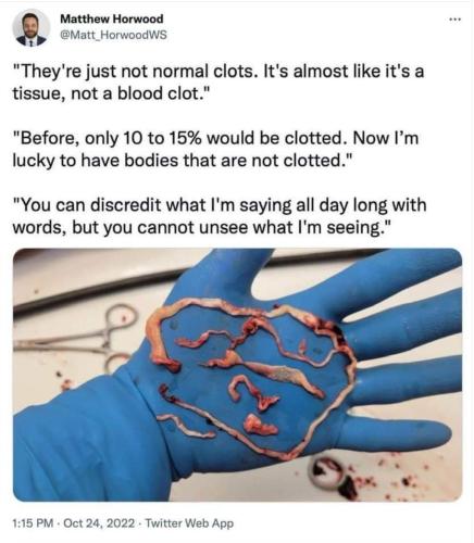 FB_IMG_1666744570856