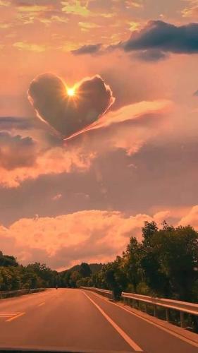 ,                                                                                                                                                                                                                          0 a