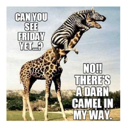 16:39:45 GMT-0400 (EDT)