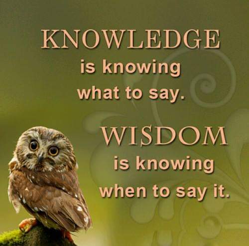 FB_IMG_1665675234387