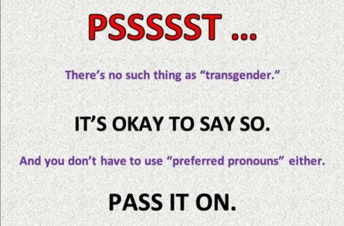 Screenshot_20221003_080256