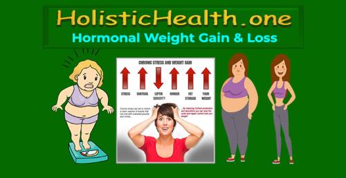 HolisticHealth.one - Hormonal Weight Gain and Loss