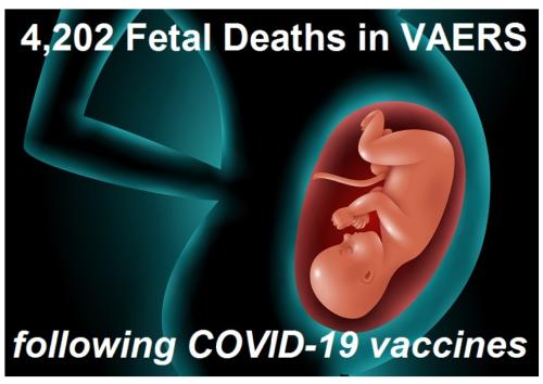 Screenshot_2022-10-30-19-35-21-04_40deb401b9ffe8e1df2f1cc5ba480b12