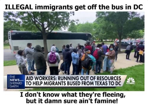 illegal immigration295