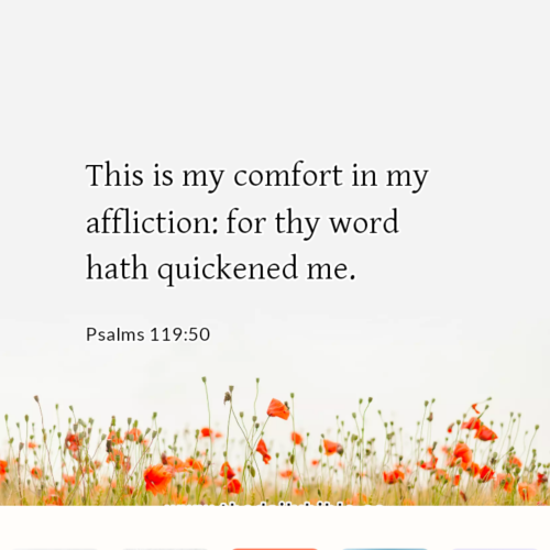 dailybible_20221006-012659_Psalms_119-50