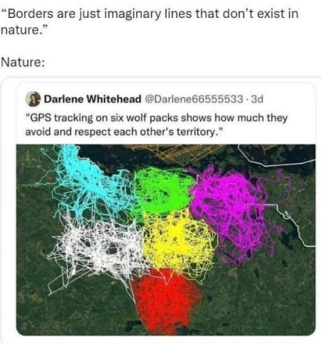 FB_IMG_1666299571395