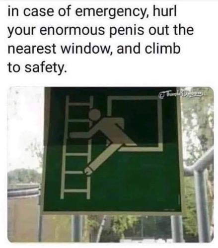 FB_IMG_1664735244244