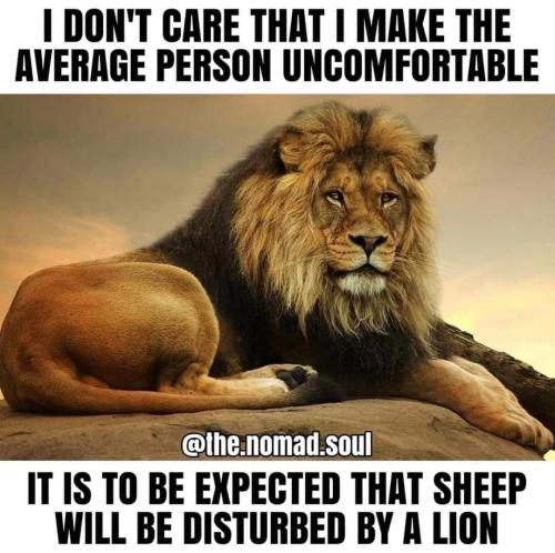 FB_IMG_1666468665967