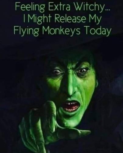 311867510_479339607567796_548596284996484761_n