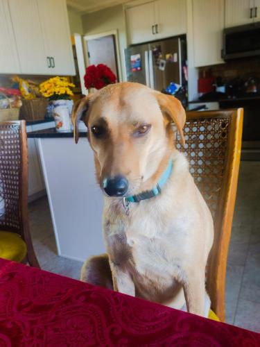 6703d5b8-2521-4f68-b961-e9293a020d7d