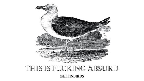 312526963_5694739873918975_4660407156946758952_n