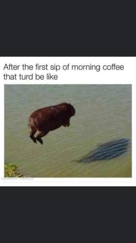 FB_IMG_1664984717607