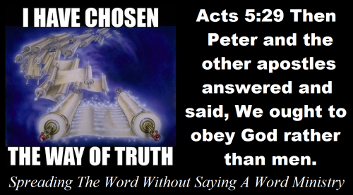 309357247_634290721484167_4292203902871746495_n