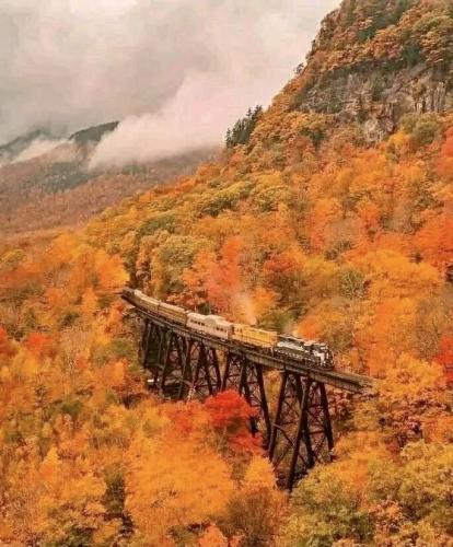 DC835D76-C8C2-43A6-99C0-2BE683E4F1BE