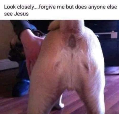 FB_IMG_1664734289906