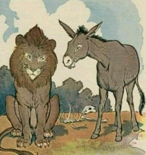 Screenshot_20221014-173321_Facebook