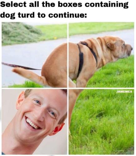 FB_IMG_1666270449563