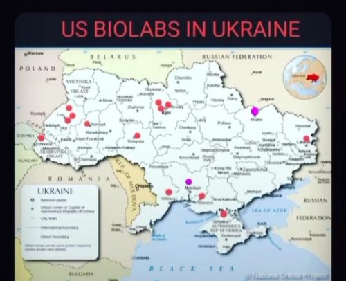 9d5043633fffe82355b7fffbf464407a_500