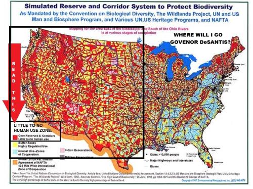 889e7c4896c956f95f1b586f32af7d32 - Copy