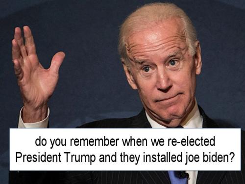 voterfraud361