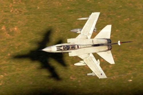 311042229_177132124890365_1377562992688572871_n