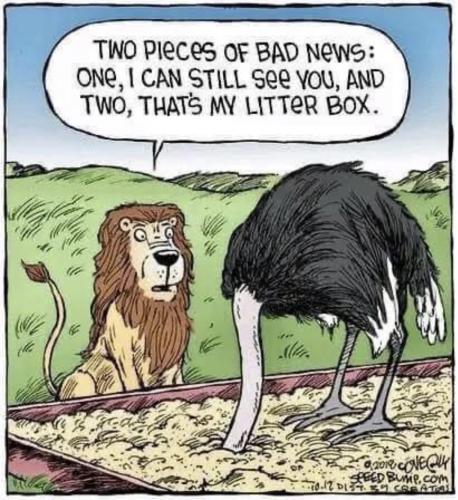 0FA5AA7E-7446-4377-9894-BCC4FF8E8B92