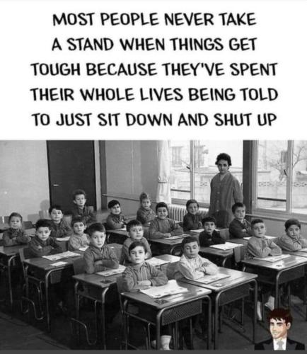 image_E8E22BEC-33FA-4752-B0B2-588583F148A8