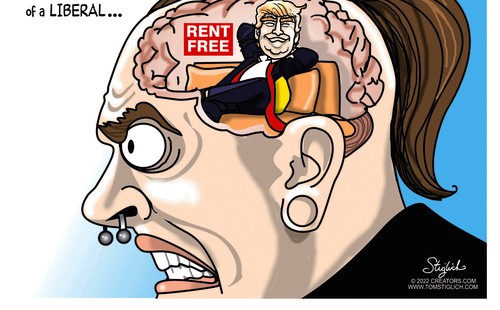 stg103022dAPC-500x310