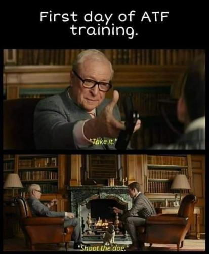 FB_IMG_1665485497946