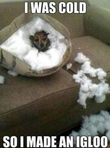 FB_IMG_1665077186168