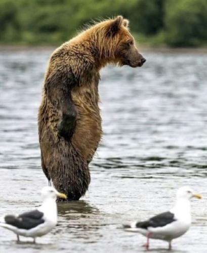 tumblr_3edf7392c64a70b9f9653d5a42752a7c_0494e442_540