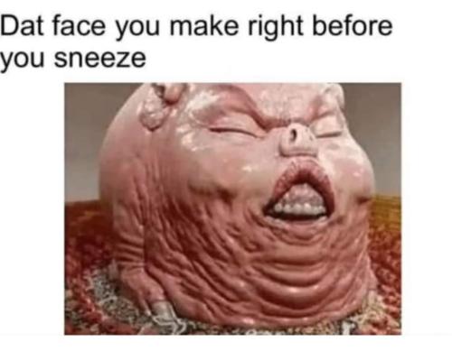FB_IMG_1664897493371