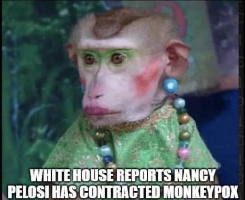 FB_IMG_1664125078221