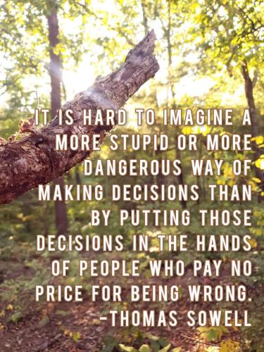 1b870692-7cad-478a-876e-78d5ddca3b8c