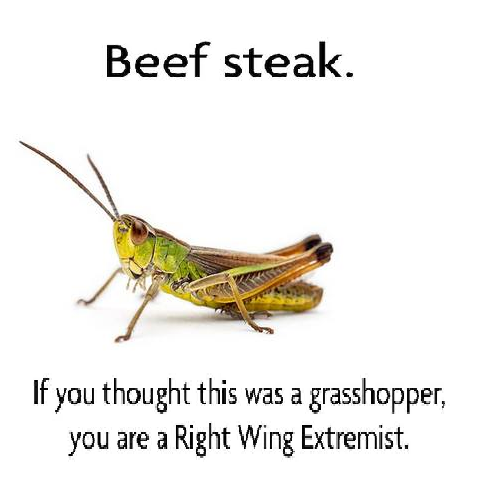 310806356_5894840733882092_182810081140802444444