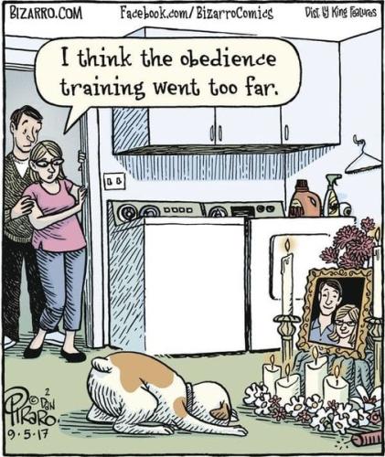 312455414_557861506346318_8886569320328837674_n