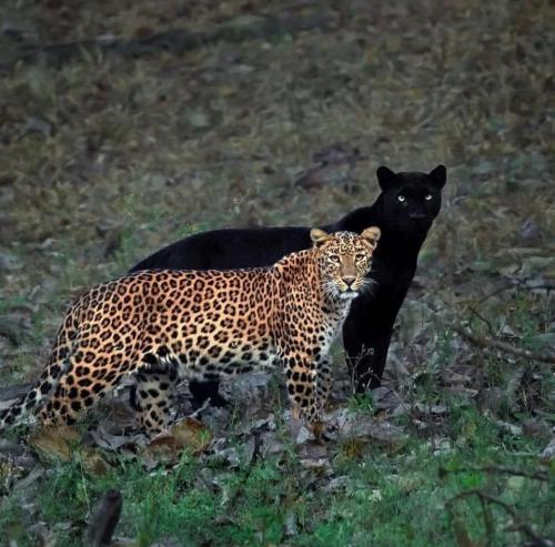 311590377_8455638051120728_4383161016036494393_n