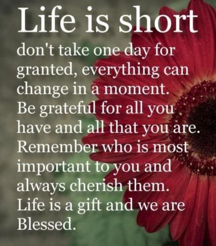 Screenshot_20221031_110425_Pinterest