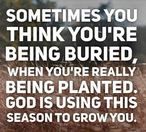 FB_IMG_1664714656971