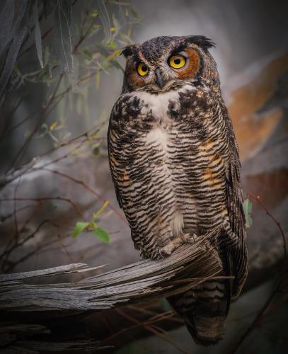 309776030_8407693575915176_1685444079197876512_n